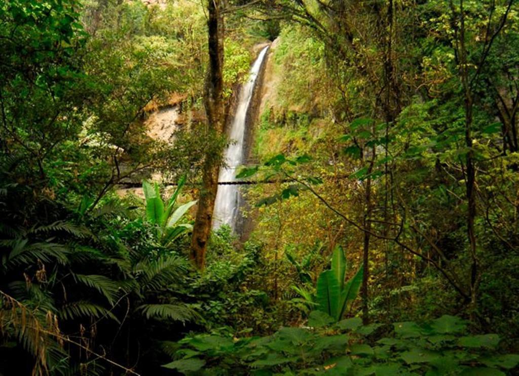 Reserva Natural Atitlan ปานาคาเชล ภายนอก รูปภาพ