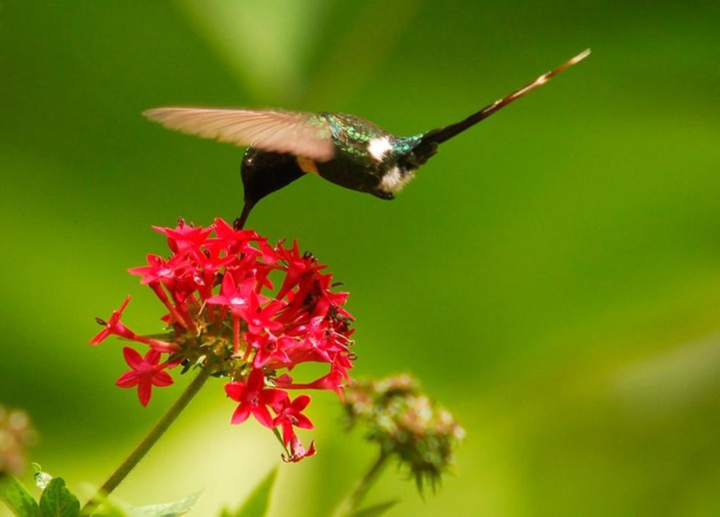 Reserva Natural Atitlan ปานาคาเชล ภายนอก รูปภาพ